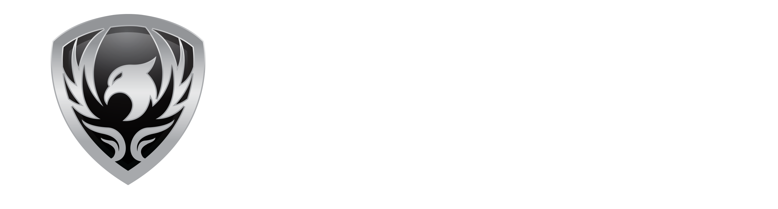 Phoenix Pools of WNY